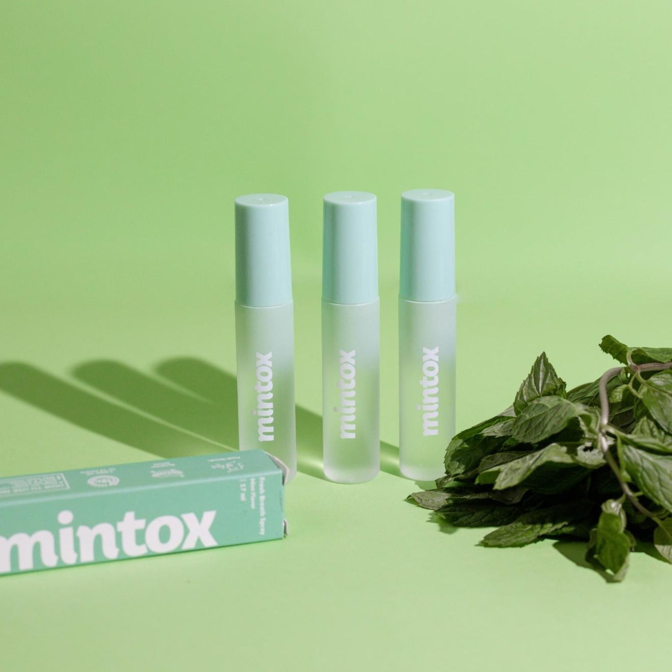 Mintoxβ’ Fresh Breath Spray